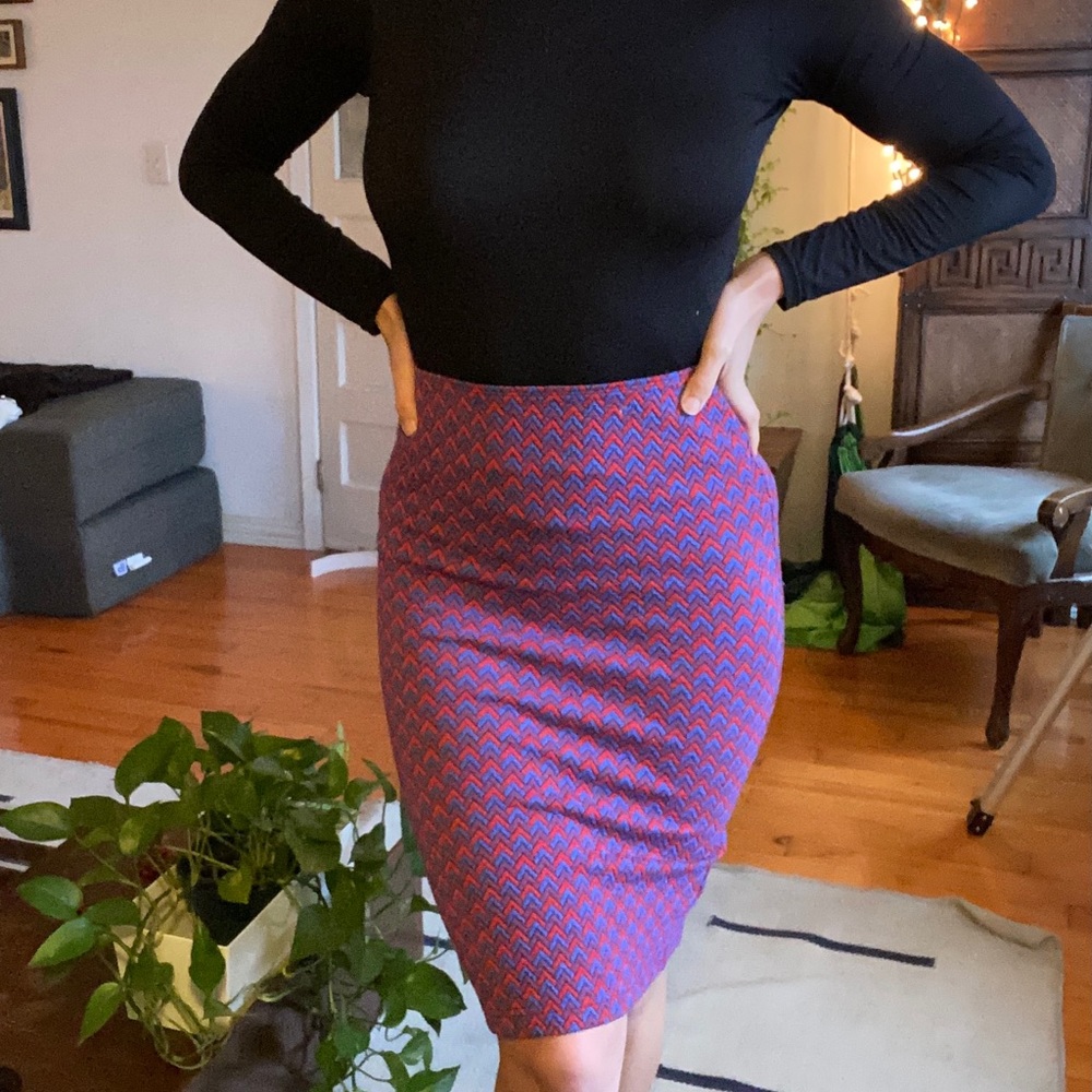 American Apparel chevron skirt